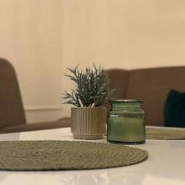 Central One Business & City Stay，位于布尔奇科的酒店