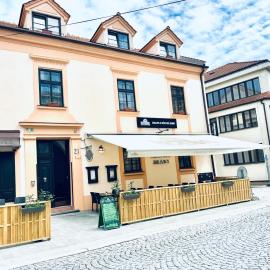 Penzion Chalupa U Městské brány，位于维什科夫的酒店