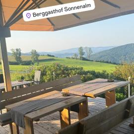 Berggasthof Pension Sonnenalm，位于豪岑贝格的酒店