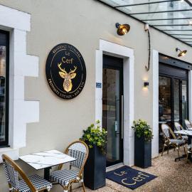 l'Hôtel du Cerf - Vailly sur Sauldre - Grand Sancerrois,位于Vailly-sur-Sauldre的酒店