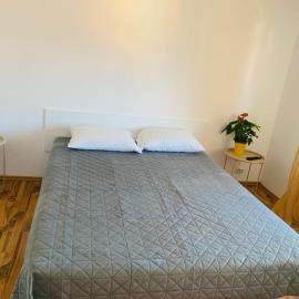 Ovidius apartament，位于Cisnădie的酒店