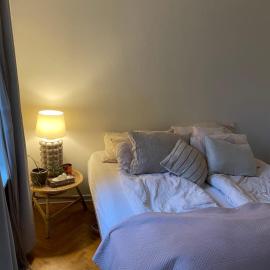 Stort værelse udlejes i herskabslejlighed midt i Odense by，位于欧登塞的酒店
