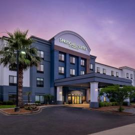 SpringHill Suites by Marriott Charleston North,位于查尔斯顿的酒店