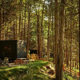 Postcard Cabins Eastern Catskills, Outdoor Collection by Marriott Bonvoy，位于卡茨基尔的酒店