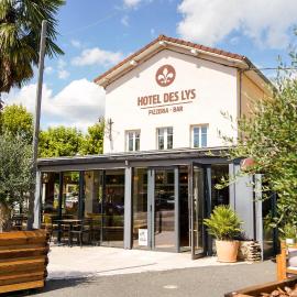 Hôtel des Lys,位于沙拉龙恩河畔沙蒂利翁的酒店
