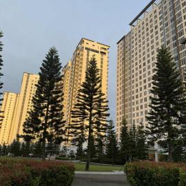 Vera's Place in Tagaytay with Taal Lake view，位于大雅台的酒店