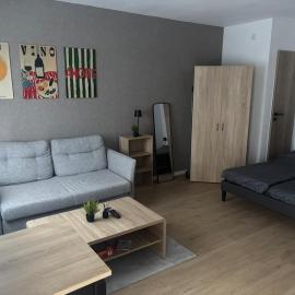 Apartment-Whiskey-Hundefreundlich，位于黑措根奥拉赫的酒店