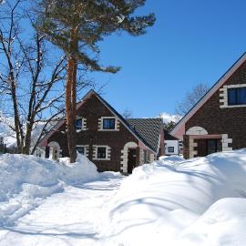 Alpine Chalets Hakuba，位于白马村的酒店