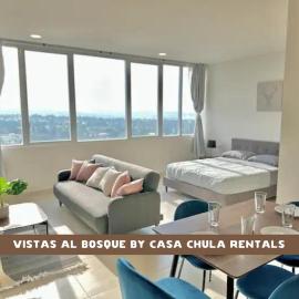 Sensacional Loft Ideal Para 3 muy Cerca de Polanco，位于墨西哥城的酒店