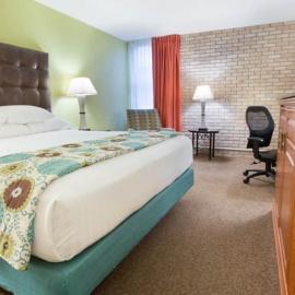 McAllen Plaza Hotel and Suites