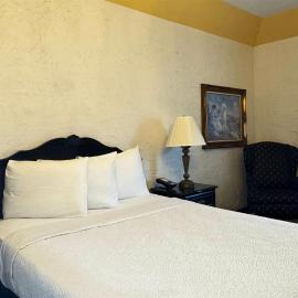Chateau Hotel and Conference Center，位于布卢明顿的酒店