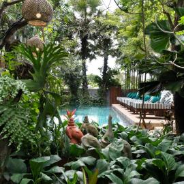 The Nature & Villas