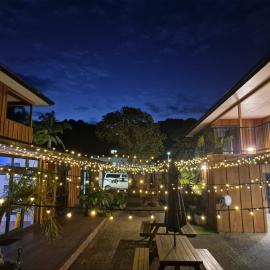 Palm Tree Apartments & backpackers，位于派西亚的酒店