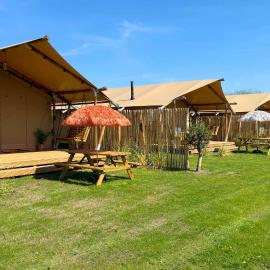 Safari lodge