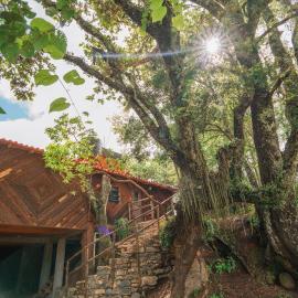 cabañas cruz verde，位于皮纳尔-德阿莫莱斯的酒店