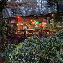 The Pinewood Lodge and Organic Farm，位于Paragajen的酒店