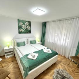 Luxury Apartment，位于弗格拉什的酒店