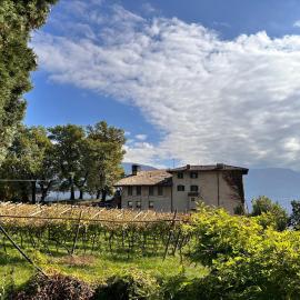 Maso Sasso - La Locanda di Putipù，位于Villa Lagarina的酒店