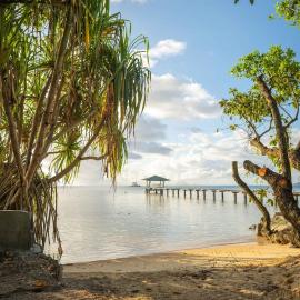 Plage privée - Vahine Ori Lodge，位于Raiatea的酒店