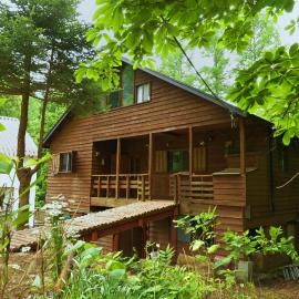 Warm Spacious Forest Chalet & Private Onsen，位于水上町的酒店