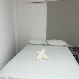 Studio apartment - Bom Retiro - S05，位于伊帕廷加的酒店
