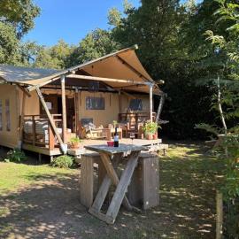 Het Roodborstje，位于霍尔滕的酒店