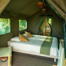 Safari Glamping Portugal Tiger，位于Ventosa的酒店
