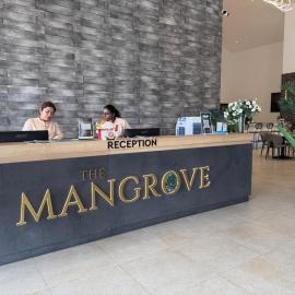 The Mangrove at Carey Circles，位于万津的酒店