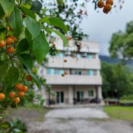 Shu Hai Cui Hu Homestay，位于Zhixue的酒店