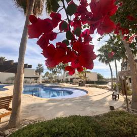 Caracoles Paradise Homes N106，位于佩尼亚斯科港的酒店