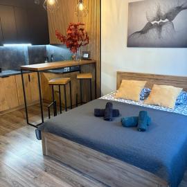 Apartament Kozigród，位于特切夫的酒店