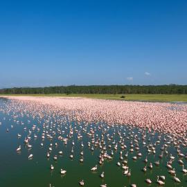 Lake Elmenteita Serena Camp，位于Elmenteita的酒店