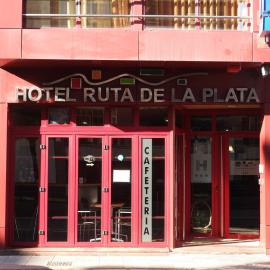 Hotel Ruta de la Plata de Asturias，位于波拉·德莱纳的酒店