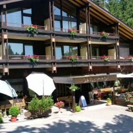 Hotel-Restaurant Jägerhof，位于昂特雷申巴赫的酒店