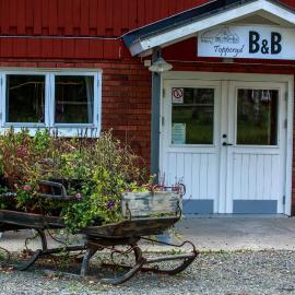 Topperyd Bed & Breakfast，位于奈舍的酒店