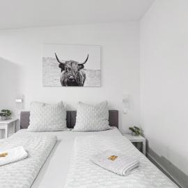 Ferienwohnung Domspatz mit Klimaanlage，位于马格德堡的酒店