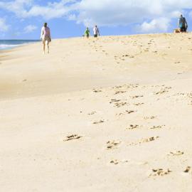 Hyatt Place Dewey Beach，位于杜威海滩的酒店