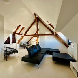 Apartmenthouse Singen，位于辛根的酒店