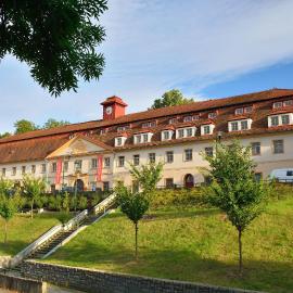 Hotel Tynec,位于Týnec nad Sázavou的酒店