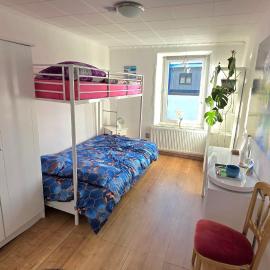 Relax Cozy Wellbeing Room Near train station，位于Kleinbettingen的酒店