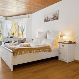 ReMo I Lake View Studio 1 - 2 Personen I See - Bergsicht I 40" Smart TV I Dusche, Fahrstuhl und Parkplatz，位于Ingenbohl的酒店