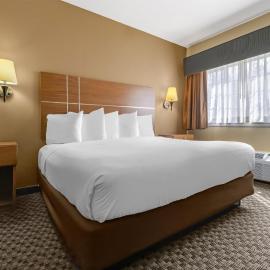 Best Western Plus Shamrock Inn & Suites，位于沙姆罗克的酒店