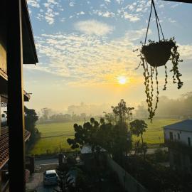 Hotel Sauraha Village，位于索拉哈的酒店