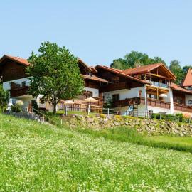 Wellness Ferienwohnungen Zellertalblick，位于德拉塞尔斯里德的酒店
