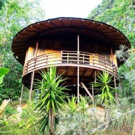 Junglebungalow，位于Platanillo的酒店