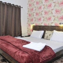 Hotel Kanha Inn，位于勒克瑙的酒店