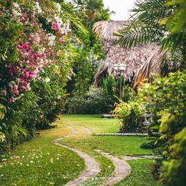Kariwak Wellness Village, Hotel and Holistic Haven，位于克朗角的酒店