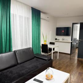 Modern Apartment，位于布尔奇科的酒店