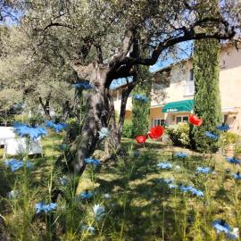 La Picholine en Provence，位于尼翁的酒店