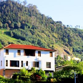Satya Anand Pure Veg and Non Alcoholic Cottage，位于乔奥诺奥尔的酒店